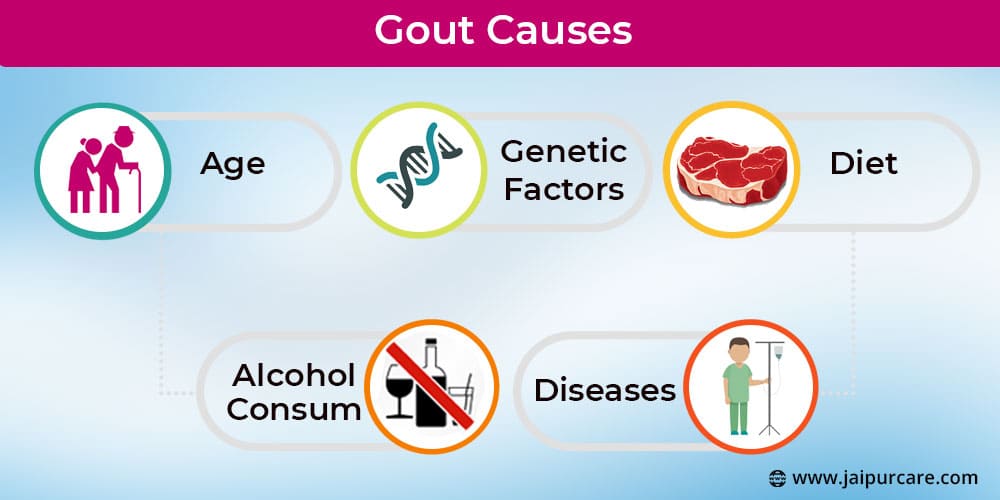 Gout Causes