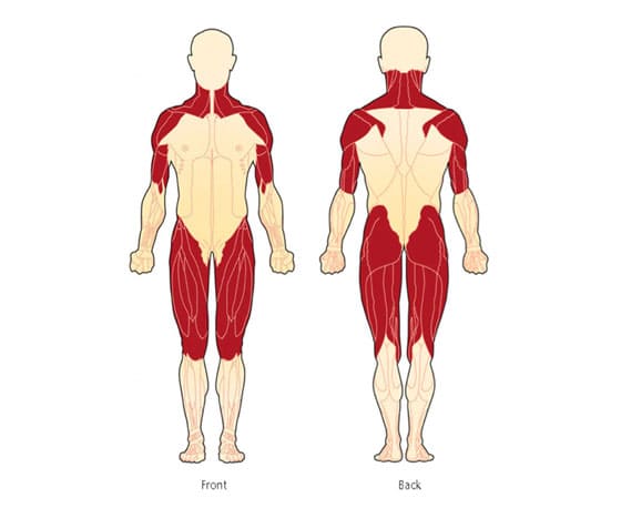 Myositis Treatment in Jaipur